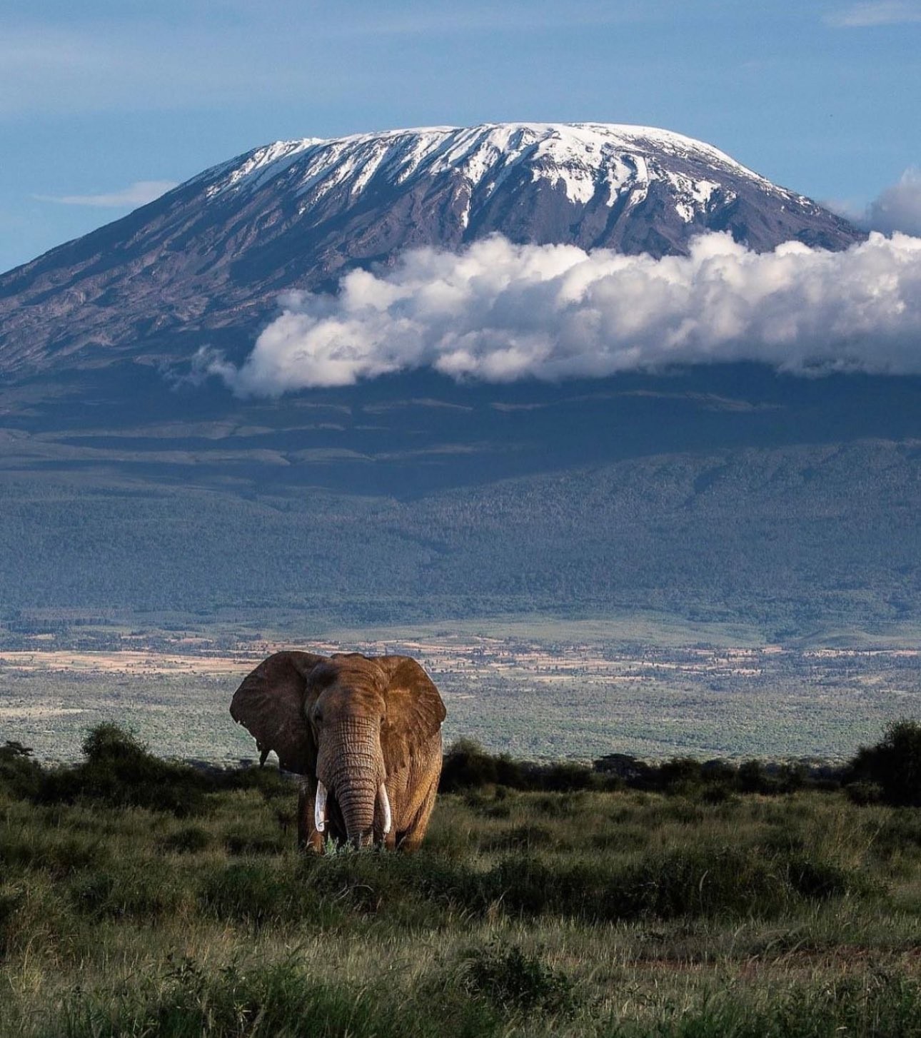 Mt Kilimanjaro