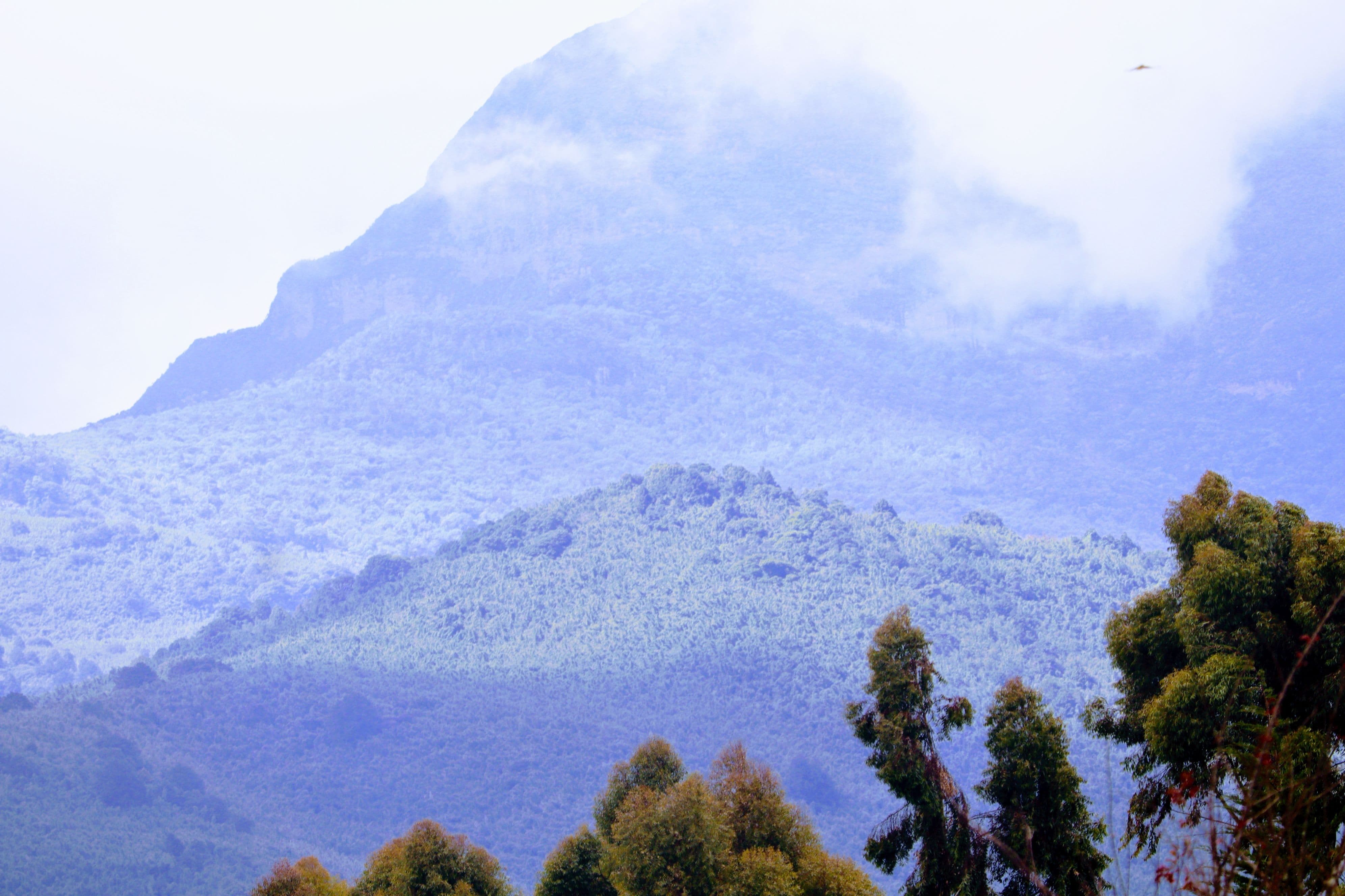 Group joining safaris 7nights/8days