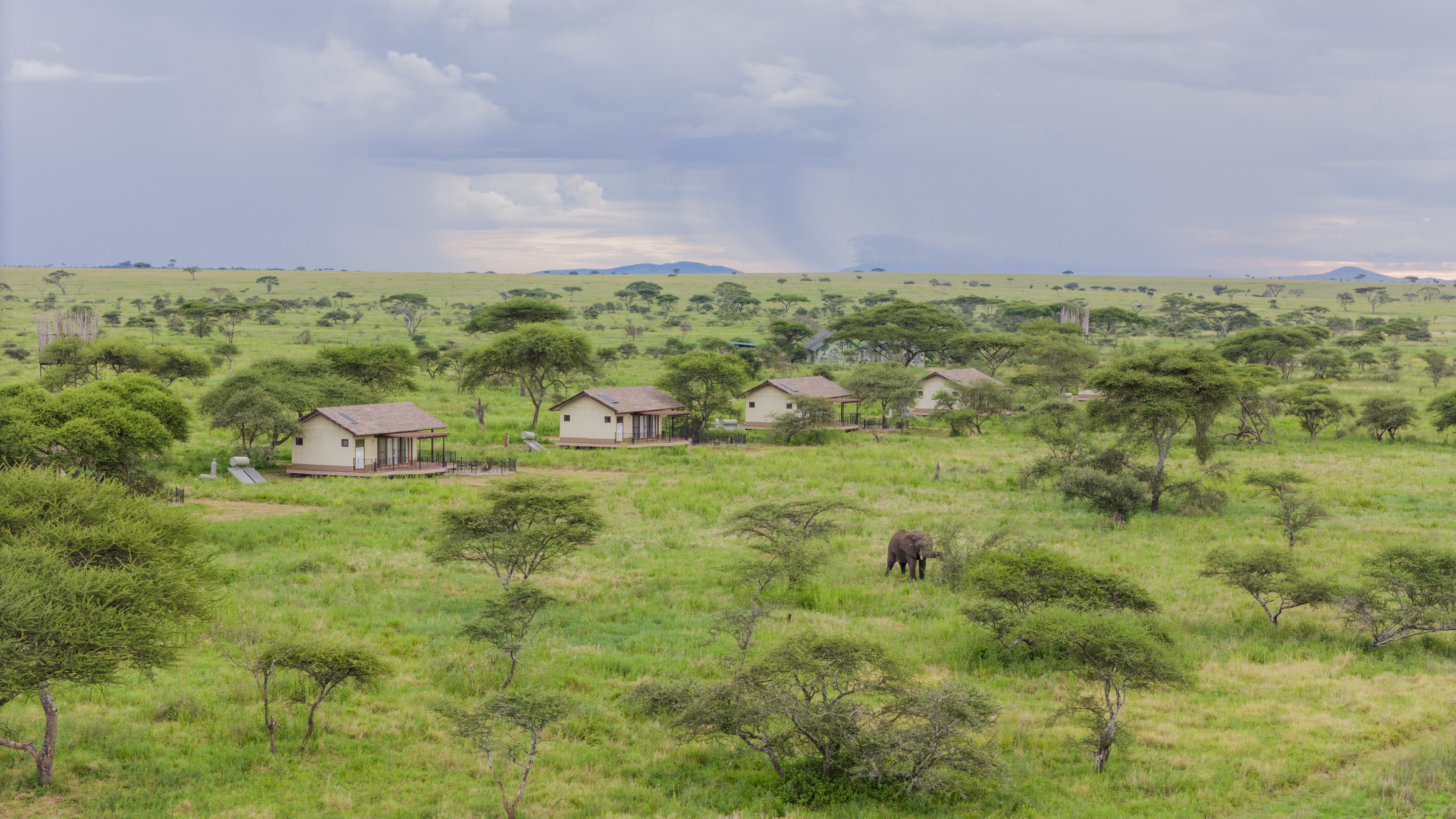 4Days Tsavo East/West & Amboseli to Nairobi Private Standard Mid-range Safari