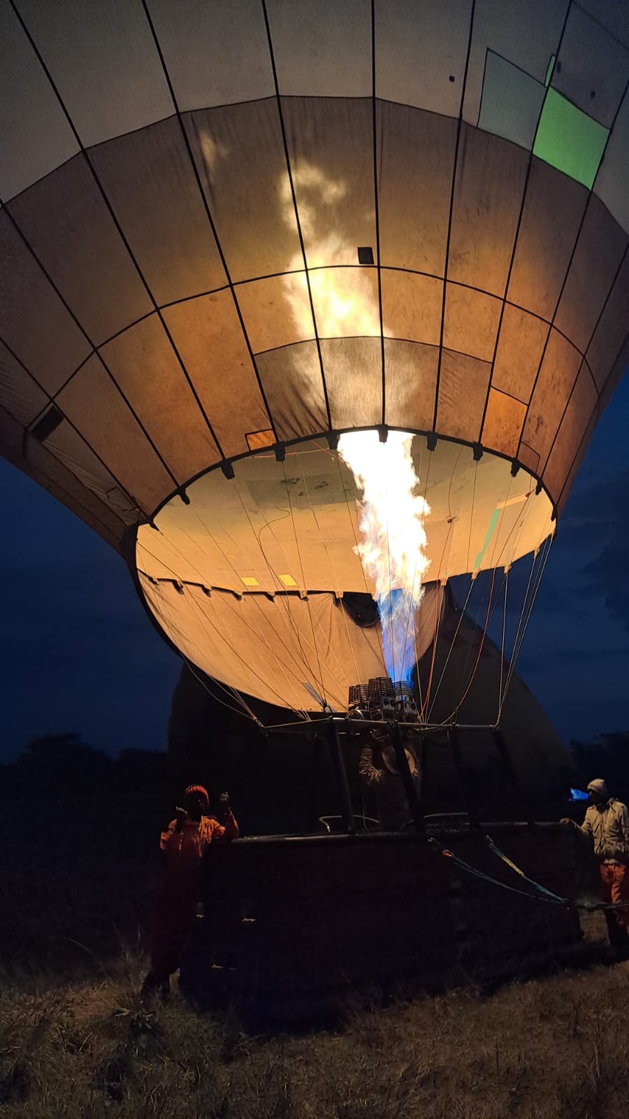 WILDLIFE MIGRATION TOURS