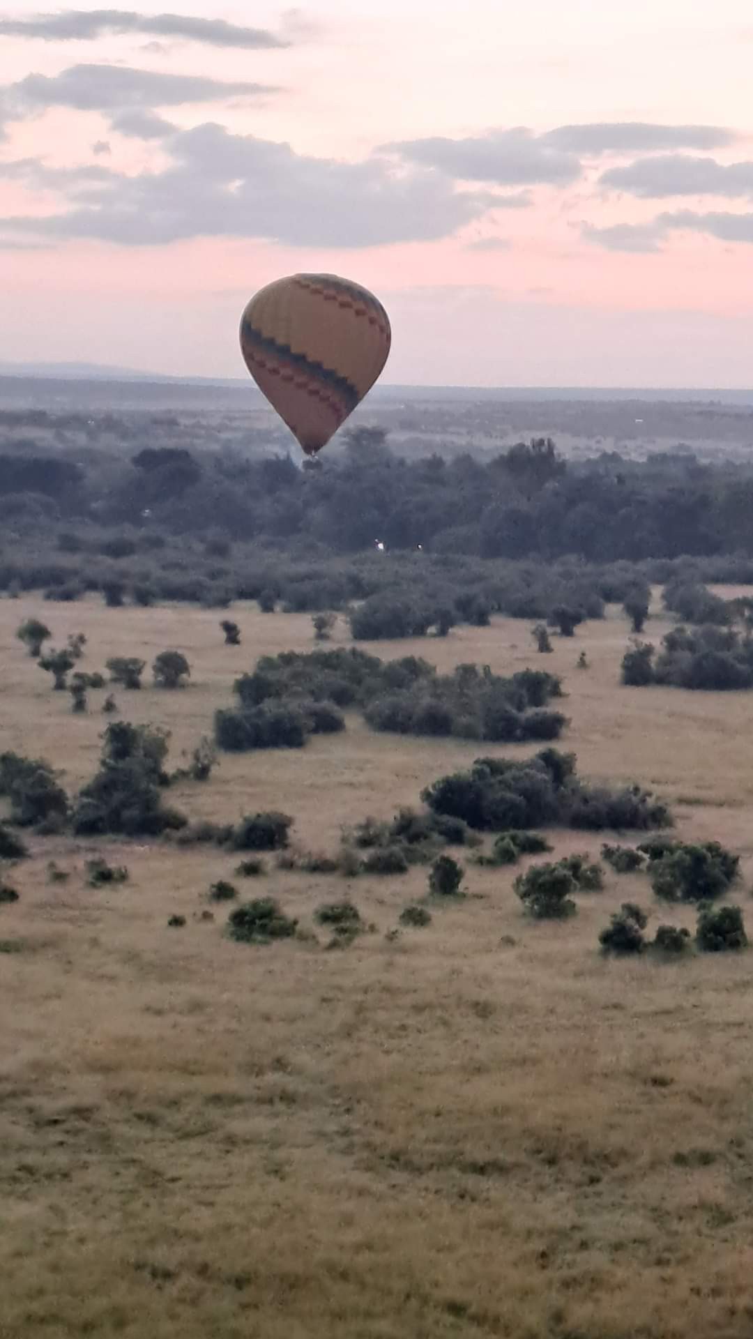 WILDLIFE MIGRATION TOURS