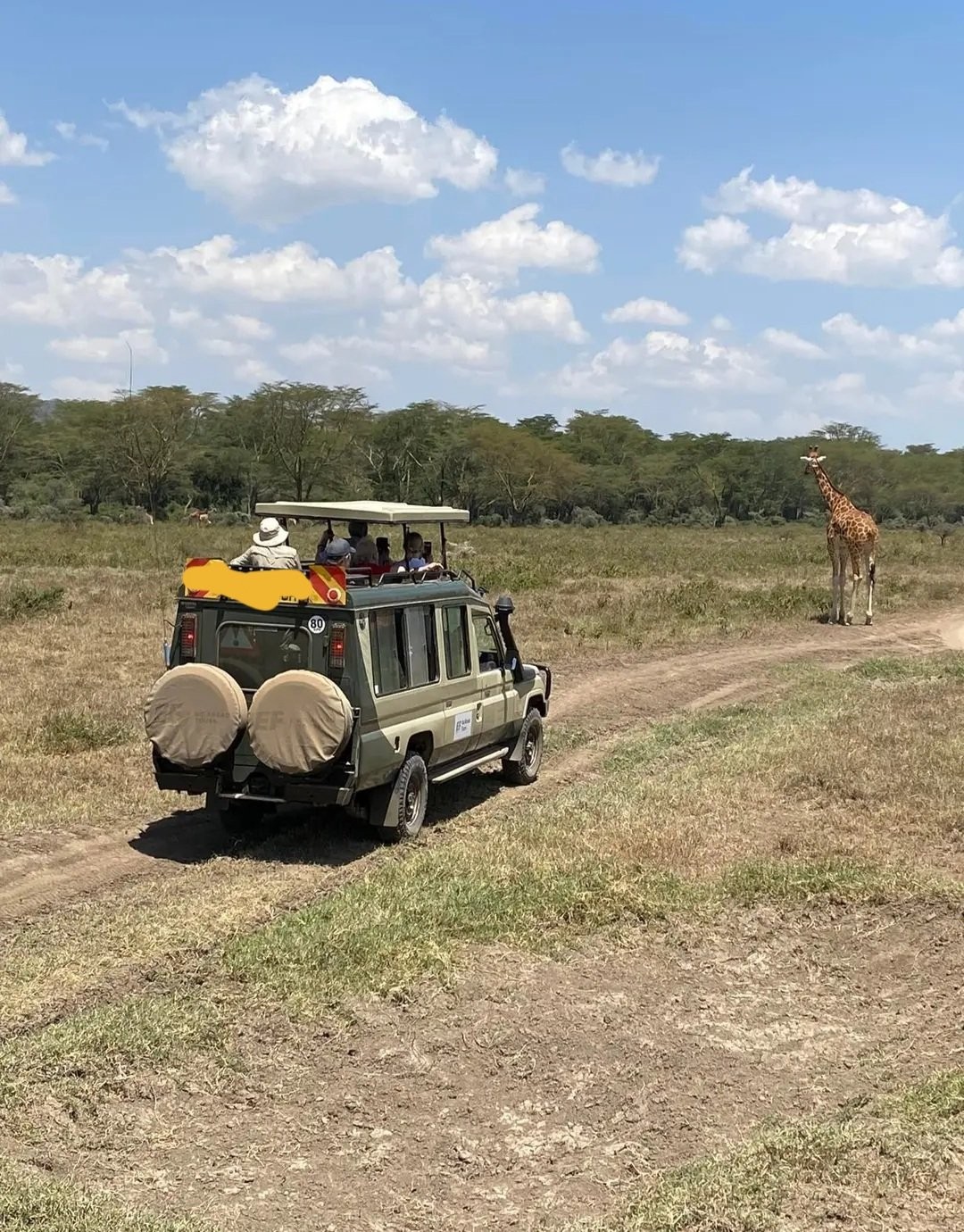 5 Days Masai Mara, Lake Nakuru & Lake Naivasha tour From $1100 USD PP
