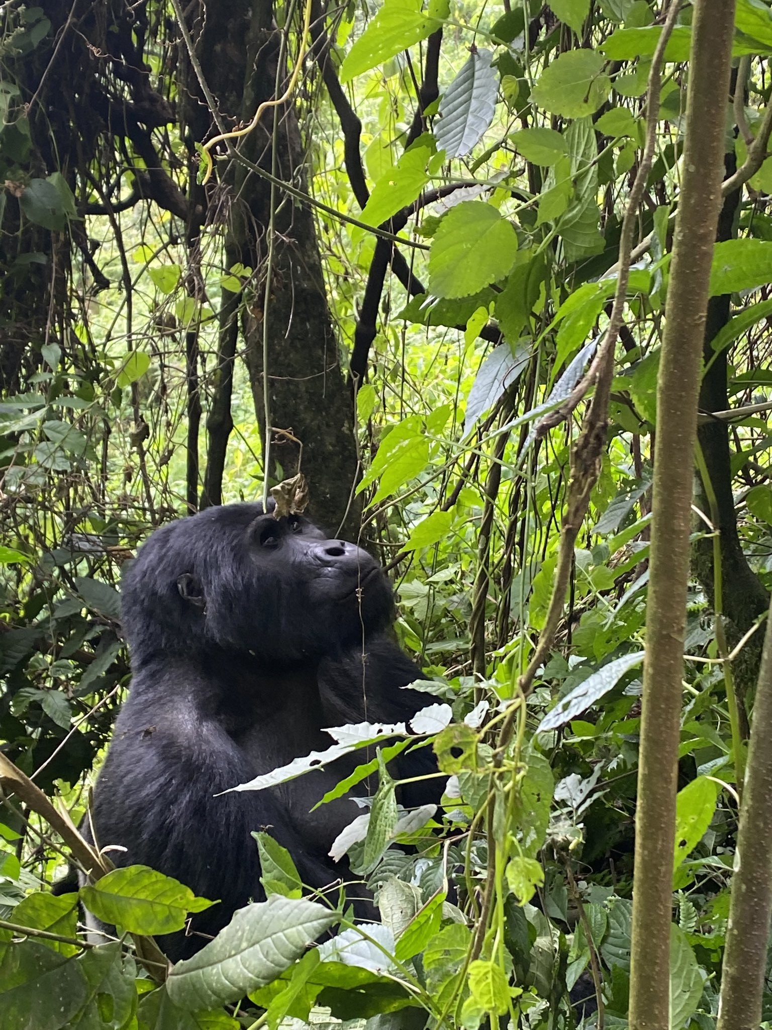 7Days : Kenya -UGANDA BUDGET SAFARI