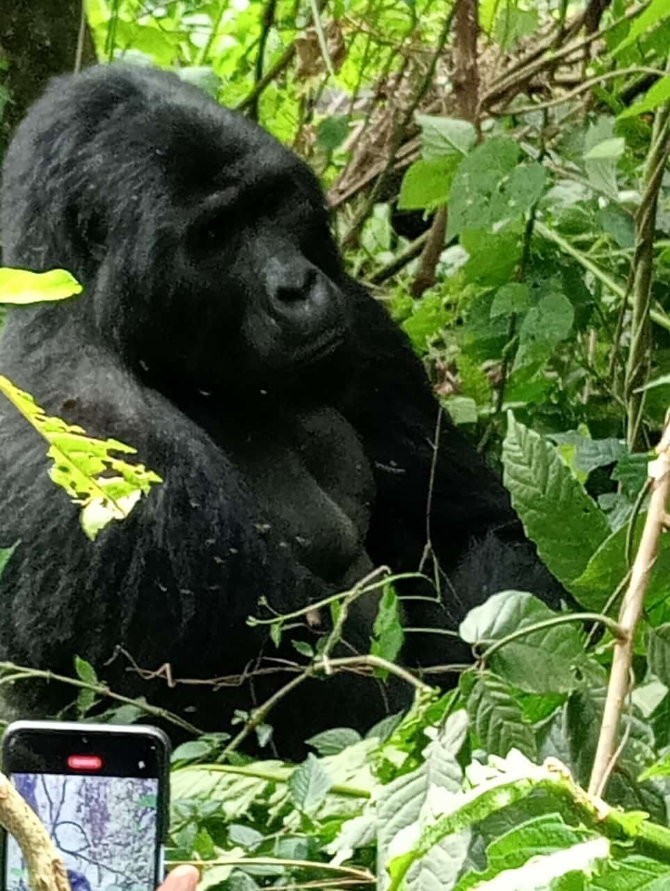 7Days : Kenya -UGANDA BUDGET SAFARI